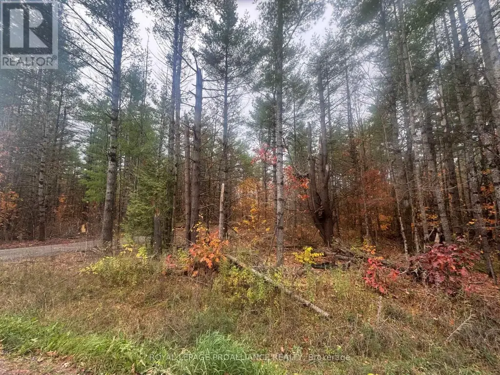 945 Shanick Road, Marmora and Lake (Marmora Ward)